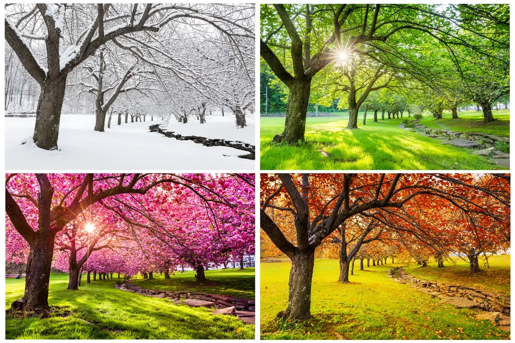 Seasons of Hurd Park – 6000 piece jigsaw puzzle on JigsawFusion