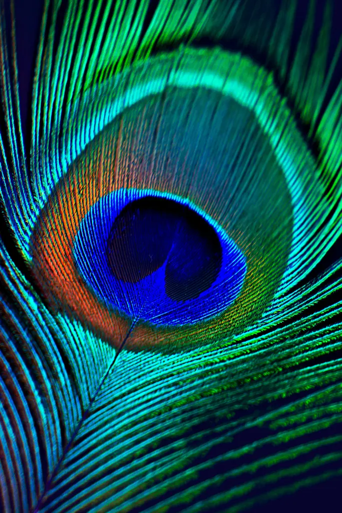 iridescent-peacock-eye – 7000 piece jigsaw puzzle on JigsawFusion